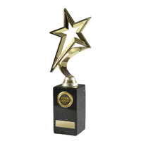 Star Figurine on Column