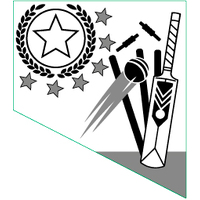 PS-1A: Cricket 2D