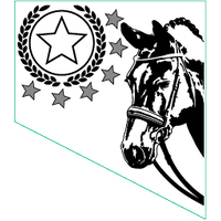 PS-29A: Horses 2D
