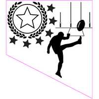 PS-3A: Aussie Rules 2D