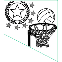 PS-8A: Netball 2D