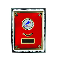 PSR4: Plaque with Glass