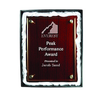 PWGA4: Plaque with Acrylic