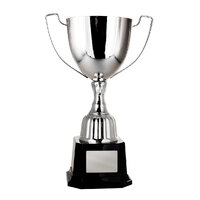  Victory Cup