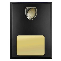 R24-0305-hero: Plaque with Rugby Trim