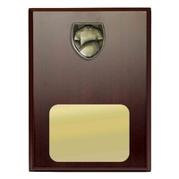 R24-0310-hero: Plaque with Rugby Trim
