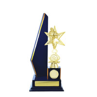 R24-2307RB : Timber Buildup Rugby