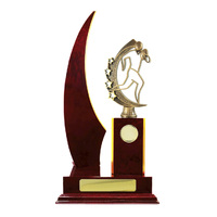 R24-2417CH: Timber Buildup Rugby