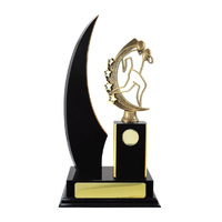 R24-2417DK: Timber Buildup Rugby