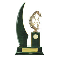 R24-2417GN: Timber Buildup Rugby