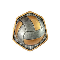 RI-13B: Volleyball Resin Insert-3D