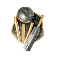 RI-1G: Cricket Resin Insert-3D
