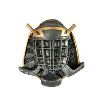 RI-25G: Ice Hockey Resin Insert-3D