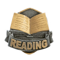 RI-49GA: Reading Insert