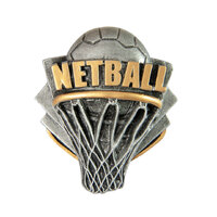 RI-8G: Netball Resin Insert-3D