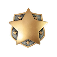 RI-91A: Star Resin Insert-3D