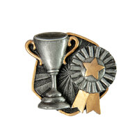 RI-92G: Achievement Resin Insert-3D