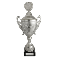 S22-0806: Silver Cup