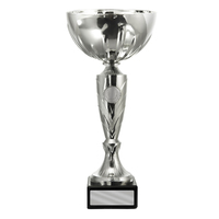 S22-0815: Silver Cup