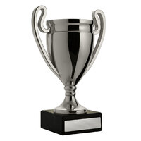 S22-0822: Silver Cup