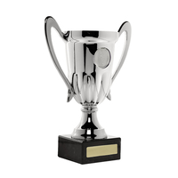 S22-0828: Silver Cup