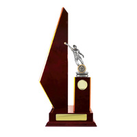 S24-13025CH : Timber Buildup Cricket