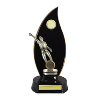 S24-13110DK : Timber Buildup Cricket Male