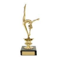 S24-14201 : Gymnast on Base