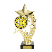 S24-14209 : Star on Base