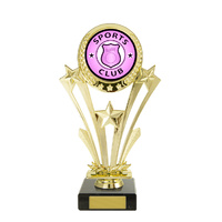 S24-14212 : Star on Base