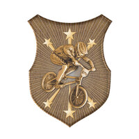 SS-14G-L: BMX Insert-2D