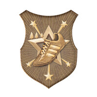 SS-18G-L: Cross Country Insert-2D