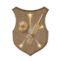 SS-1G-L: Cricket Insert-2D