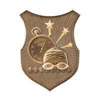 SS-2G-L: Swimming Insert-2D