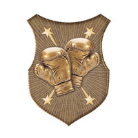SS-32G-L: Boxing Insert-2D