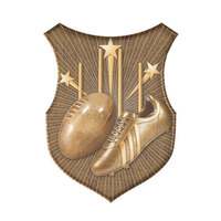 SS-3G-L: Aussie Rules Insert-2D