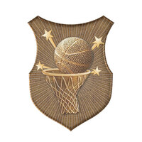 SS-7G-S: Basketball Insert-2D