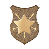 SS-91A-S: Star Insert-2D
