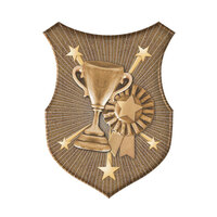SS-92G-L: Achievement Insert-2D