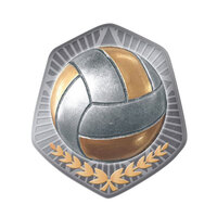 TS-13B: Volleyball Insert-2D