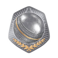 TS-1B: Cricket Ball Insert-2D