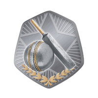 TS-1G: Cricket Insert-2D