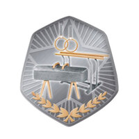 TS-20G: Gymnastics Insert-2D