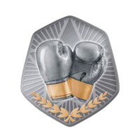 TS-32G: Boxing Insert-2D