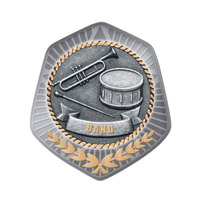 TS-45G: Band Insert-2D