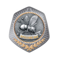 TS-50G: Spelling Insert-2D