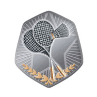 TS-57G: Badminton Insert-2D