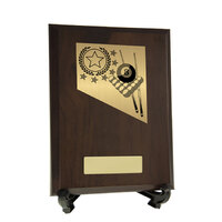  Plaque with Billiards Trim