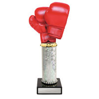  Acrylic Boxing on Column