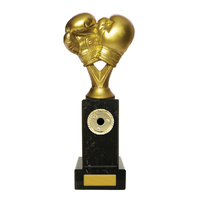  Boxing Gloves on Column